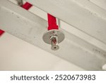 fire sprinkler head located on the ceiling