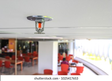 Fire Sprinkler On The Ceiling.automatic Fire Sprinkler System In The Library.