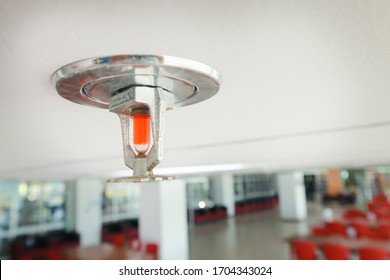 Fire Sprinkler On The White Ceiling Install In The Office.