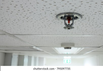 
Fire Sprinkler And Smoke Detector Installed In The Building.