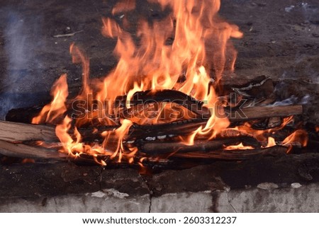 A fire starter to make a barbeque on the island.