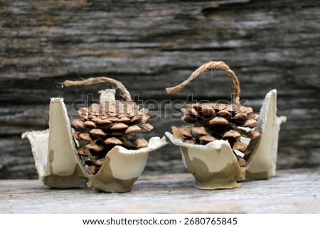 fire starter with pine cone