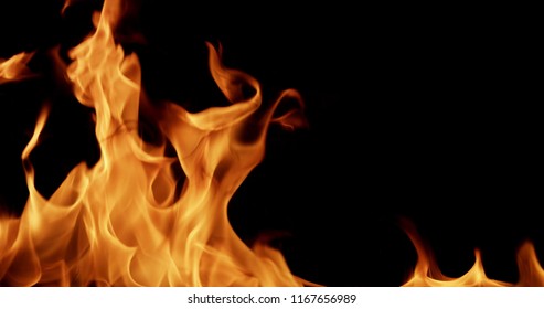 Fire Stock Image