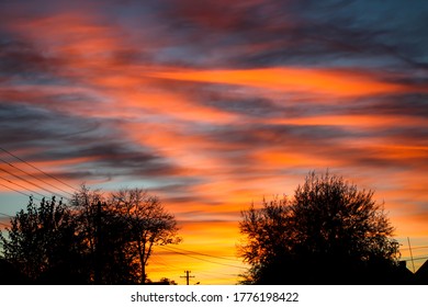 Fire Sunset With Hazy Clouds And Backlit Tree