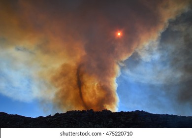 A Fire Vortex Swirls The Smoke Clouds Over A Fynbos Wildfire