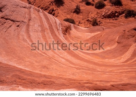 Fire Wave - Valley of Fire 
