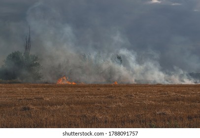 A Fire In A Wheat Field, A Smoky Field