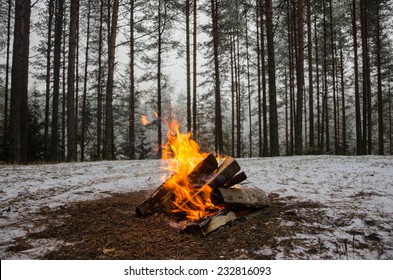 Fire In The Winter Forest