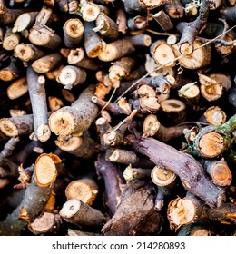 Fire Wood Background. Wood Pile Made By Sticks And Twigs Closeup.