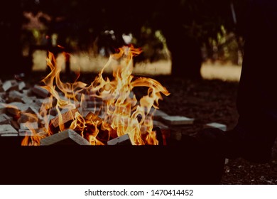 Fire Wood Burning, Backyard Bonfire In Fire Pit