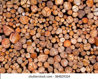 Fire Wood Texture - Pattern