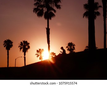fireball in the trees