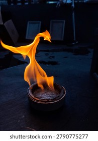 firebird visible from the fire