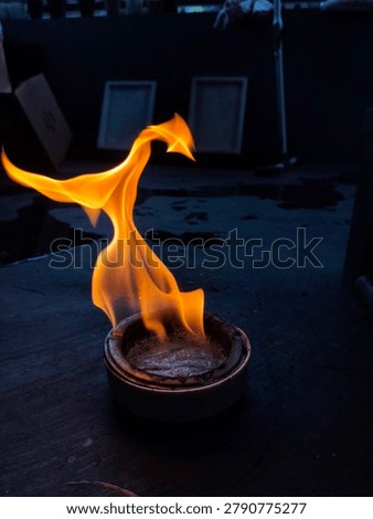 firebird visible from the fire