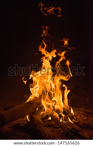 firecamp in night time 3