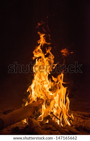 firecamp in night time  4
