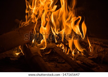 firecamp in night time 5