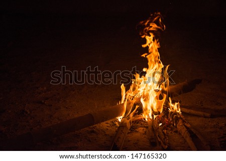 firecamp in night time 8