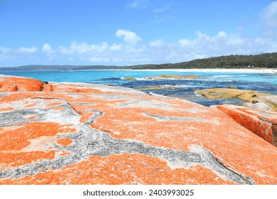 FIRE-COLORED ROCKS OF TASMANIA. SEE BELOW. Bay of Fires and its fire-colored rocks. The orangey-reddy color on the rocks is of the lichens that grow on them. - Powered by Shutterstock