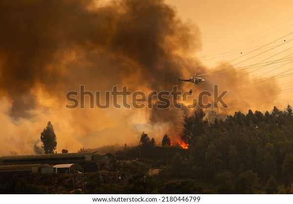 Firefighter\
Helicopter fighting against a Forest Fire near to a Greenhouse\
during Day in Povoa de Lanhoso,\
Portugal.