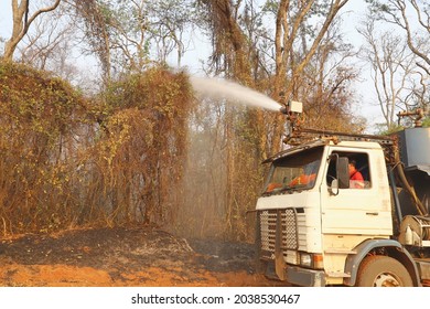 Firefighter Pours Water In The Forest To Extinguish Fire Traces From A Fire In The Cerrado Forest, Brazil