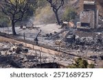 Firefighters assess the charred remains of homes after the devastating Palisades Fire in the Pacific Palisades neighborhood of Los Angeles, showcasing the impact of wildfires.