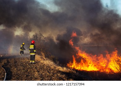 Firefighters Battle A Wildfire