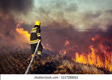 Firefighters Battle A Wildfire