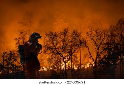 Firefighters battle a wildfire because climate change and global warming is a driver of global wildfire trends. - Shutterstock ID 2240006791