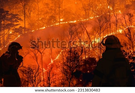 Firefighters battle a wildfire because El nino events , climate change and global warming is a driver of global wildfire trends.