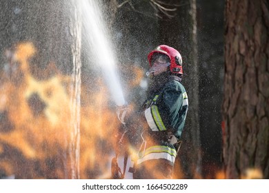 Firefighters Extinguish A Fire. A Firefighter In A Forest On Fire.