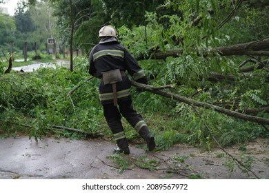 Firefighters Help Clean Up Fallen Tree On Cars After The Storm In A Rainy Day.