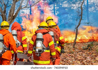  Firefighters Preparing Equipment In Forest