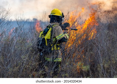 Firefighters Putting Out Forest Fire