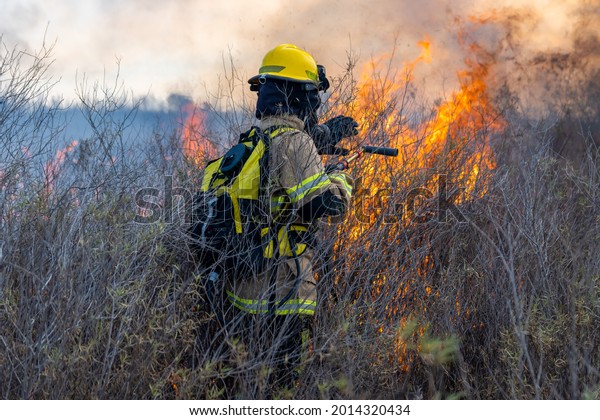 Firefighters Putting Out Forest Fire Stock Photo 2014320434 | Shutterstock