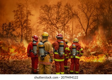 Firefighters team battle a wildfire because climate change and global warming is a driver of global wildfire trends. - Shutterstock ID 2079494122