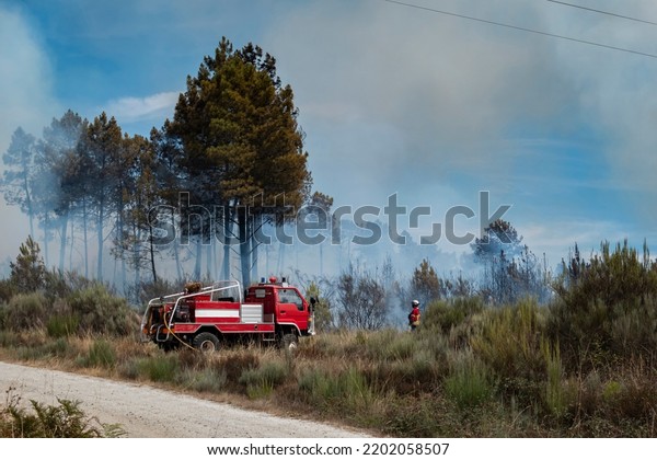 Firefighters with their truck in the fight of a\
forest fire that burns and has already burned part of the forest\
leaving a large cloud of smoke in the\
air