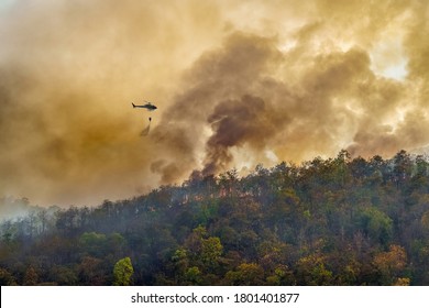 Firefighting Helicopter Dropping Water On Forest Fire