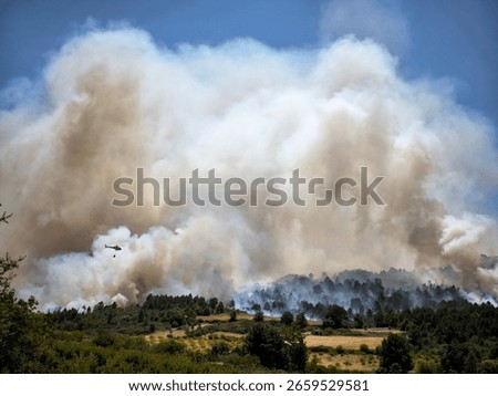 A firefighting helicopter fights a massive forest fire in a dense forest, sending a large cloud of smoke into the air