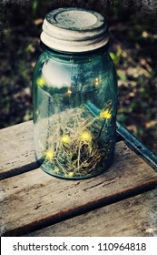 fireflies in a jar