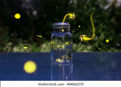 Fireflies in a jar.