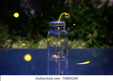 Fireflies In A Jar.