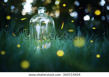 Fireflies in a jar. Long exposure of fireflies in a backyard.