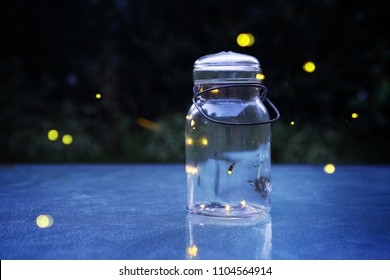 Fireflies in a jar outdoors at night