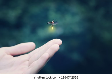 Firefly flying away from a child's hand, shallow focus on hand, motion blur on firefly