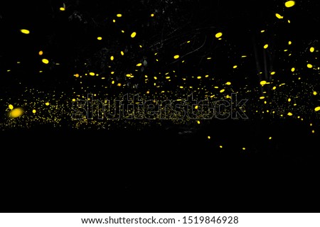 Firefly flying in the forest