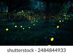 Firefly flying in the forest. Fireflies in the bush at night in 