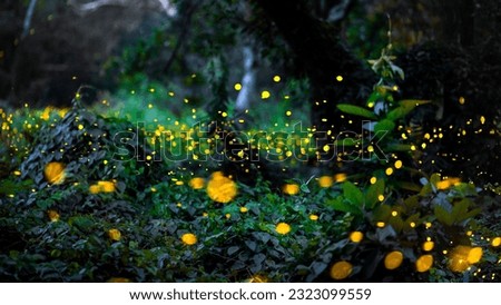 Firefly flying in the forest. Firefly lights in the night like a fairy tale. Fireflies in the bush at night in Prachinburi Thailand. Light from fireflies at night in the forest, Long exposure photo.8ค