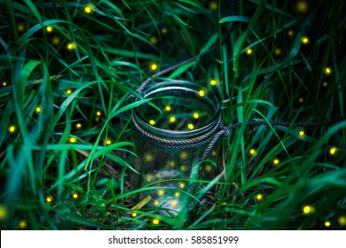 Firefly In A Jar