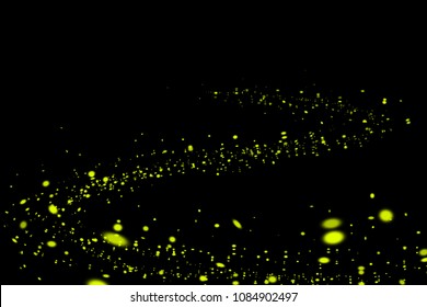 Firefly, lightning bugs on black background